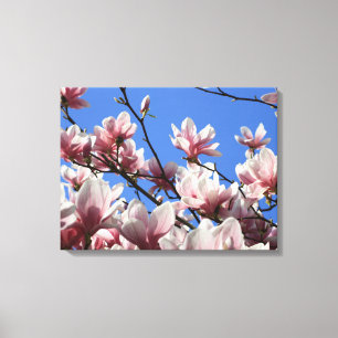 Canvas Art-Pink Magnolia Afdruk