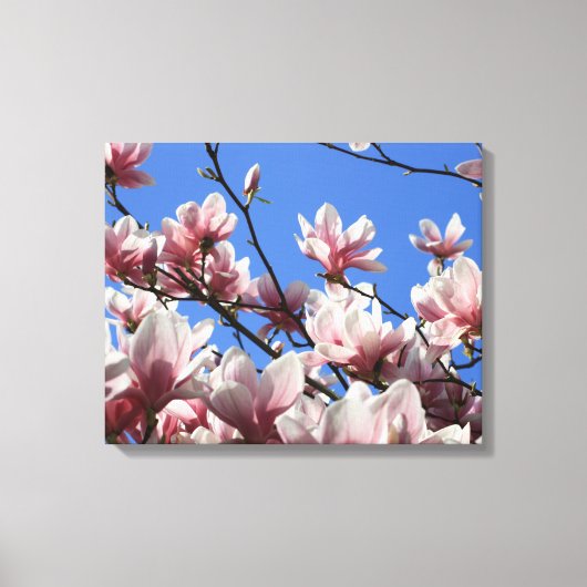Canvas Art-Pink Magnolia Afdruk (Voorkant)