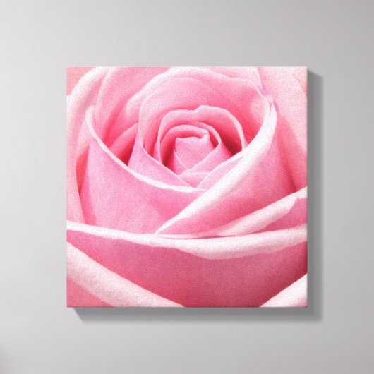 Canvas Art-Pink Rose Afdruk (Voorkant)