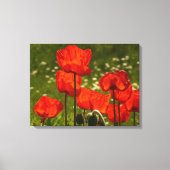 Canvas Art-Poppies (Voorkant)