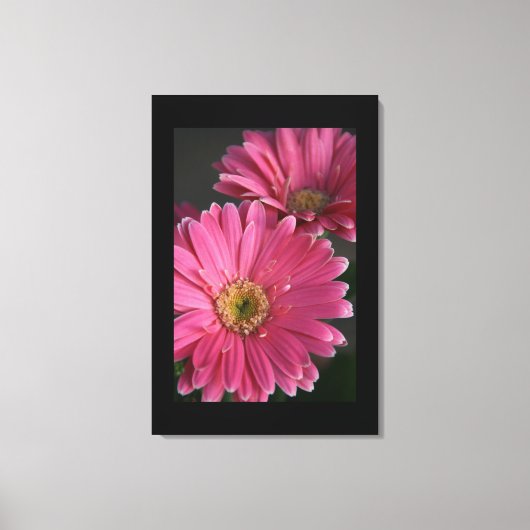 Canvas Art-roze madeliefjes (Voorkant)
