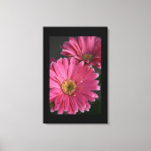 Canvas Art-roze madeliefjes Afdruk (Voorkant)