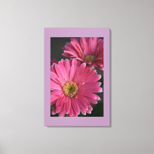 Canvas Art-roze madeliefjes Afdruk