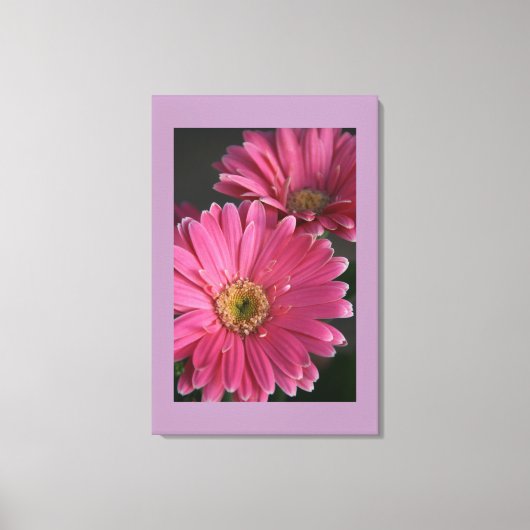 Canvas Art-roze madeliefjes Afdruk (Voorkant)