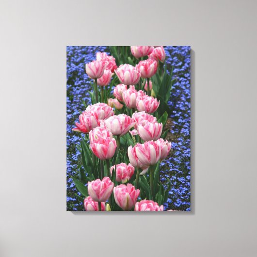 Canvas Art-roze tulpen (Voorkant)