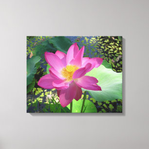 Canvas Art-roze waterlelie