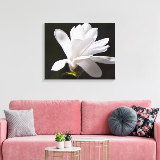 Canvas Art-Star Magnolia bloem (Insitu (Woonkamer))