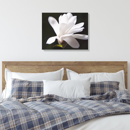 Canvas Art-Star Magnolia bloem (Insitu (Slaapkamer))