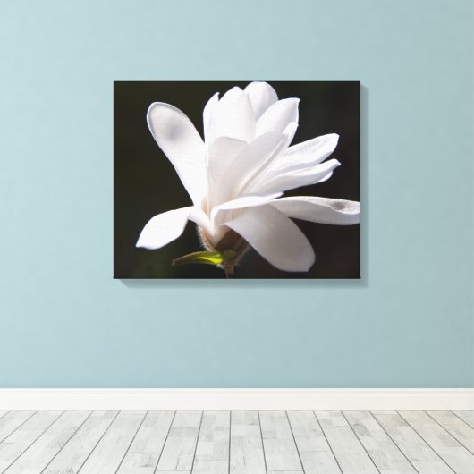 Canvas Art-Star Magnolia bloem (Insitu (Houten vloer))