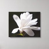 Canvas Art-Star Magnolia bloem (Voorkant)