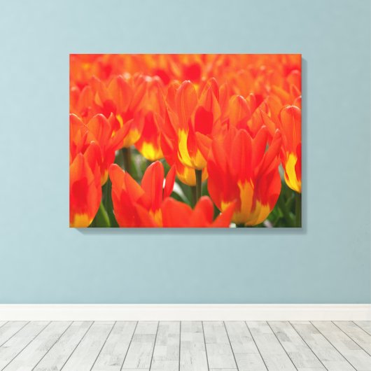 Canvas Art-tulpen (Insitu (Houten vloer))