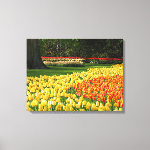 Canvas Art-tulpen Afdruk