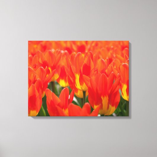 Canvas Art-tulpen Afdruk (Voorkant)