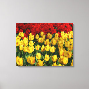 Canvas Art-tulpen Afdruk