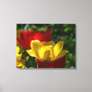 Canvas Art-tulpen Afdruk