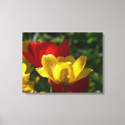 Canvas Art-tulpen Afdruk (Voorkant)