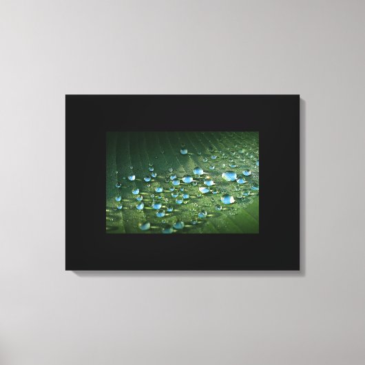 Canvas Art-Water druppeltjes Afdruk (Voorkant)