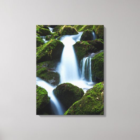 Canvas Art-Waterfall Afdruk (Voorkant)