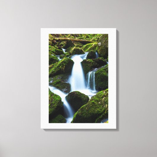 Canvas Art-Waterfall Afdruk (Voorkant)