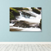 Canvas Art-Waterfall Afdruk (Insitu (Houten vloer))