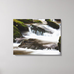 Canvas Art-Waterfall Afdruk