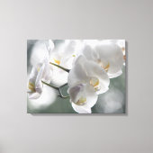 Canvas Art-witte orchideeën (Voorkant)