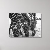 Canvas Art-Zebra's (Voorkant)