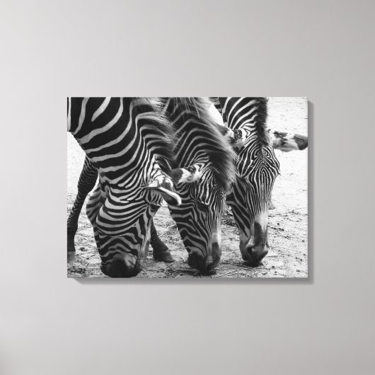 Canvas Art-Zebra's (Voorkant)