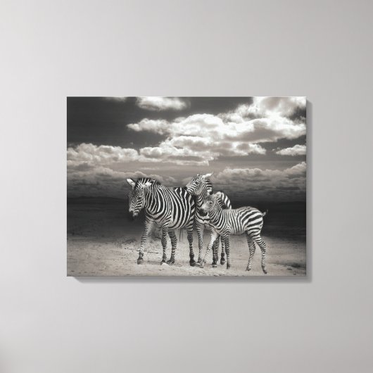 Canvas Art-Zebra's (Voorkant)
