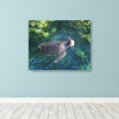 Canvas Art-Zee Turtle (Insitu (Houten vloer))