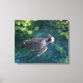Canvas Art-Zee Turtle (Voorkant)