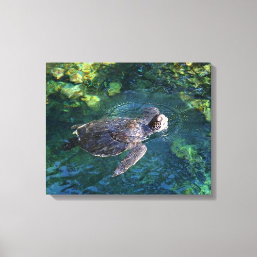 Canvas Art-Zee Turtle (Voorkant)