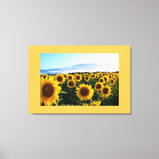 Canvas Art-Zonnebloemen Afdruk (Voorkant)