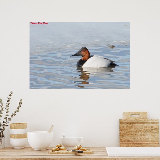 Canvas Back Duck Poster (Keuken)