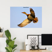 Canvas Back Duck Poster (Thuiskantoor)
