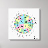 Canvas Codons Aminozuren Tabel Genetische Code DNA (Voorkant)