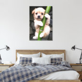 Canvas Cute Puppy Gaejook 개죽이  (Insitu (Slaapkamer))