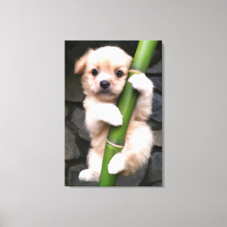 Canvas Cute Puppy Gaejook 개죽이  Afdruk