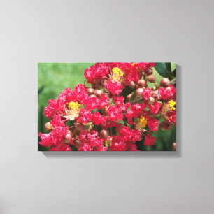Canvas drukt de rode kruis van het bloem af afdruk