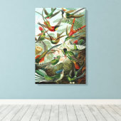 Canvas Ernst Haeckel Trochilidae Kolibrie (Insitu (Houten vloer))