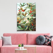 Canvas Ernst Haeckel Trochilidae Kolibrie Afdruk (Insitu (Woonkamer))