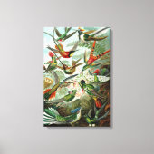 Canvas Ernst Haeckel Trochilidae Kolibrie Afdruk (Voorkant)