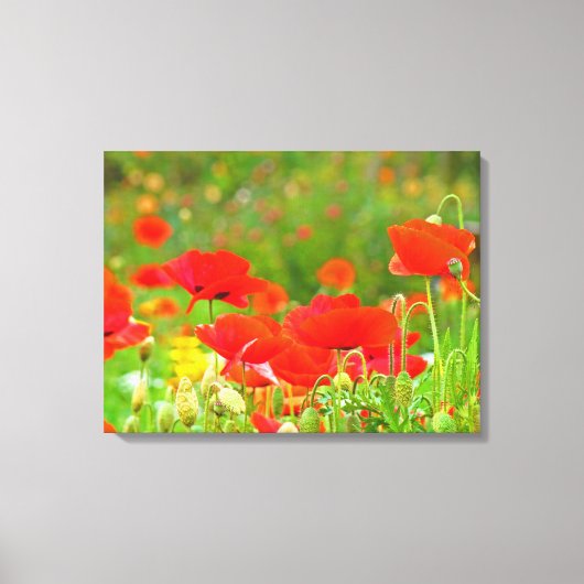 Canvas Fine Art Prints Floral Red Poppies Flowers (Voorkant)