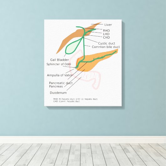 Canvas Galblaasdiagram (Insitu (Houten vloer))