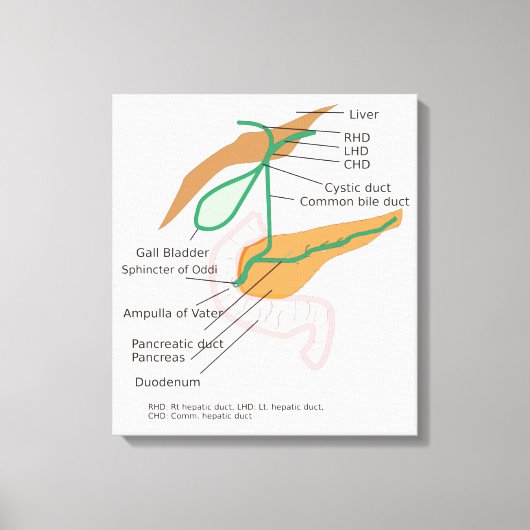 Canvas Galblaasdiagram (Voorkant)