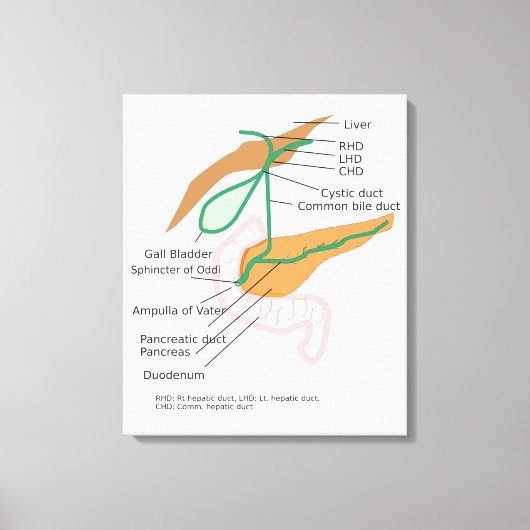Canvas galblaassysteem diagram kaart galblaas afdruk (Voorkant)