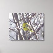 Canvas - Gele vink in wintertakken Afdruk (Voorkant)
