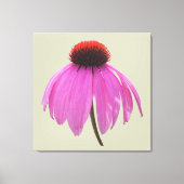 Canvas - gevlekt - Paarse Coneflower - Echinacea (Voorkant)