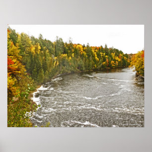 canvas glans afdruk/TAHQUAMENON RIVIER/Goud en gro Poster