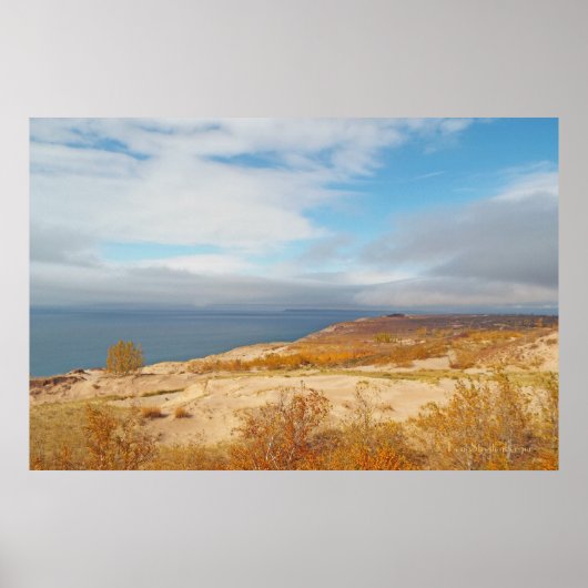 CANVAS GLANS / SLAPEND BEER DUINEN / MEER, DUINEN, POSTER (Voorkant)